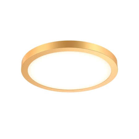 Dals Delta 14 Inch Round Indoor/Outdoor LED Flush Mount, Gold CFLEDR14-CC-GD